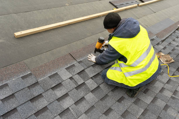 Best Shingle Roofing Installation  in Forestville, OH