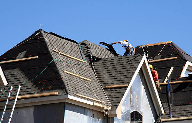 Best New Roof Installation  in Forestville, OH