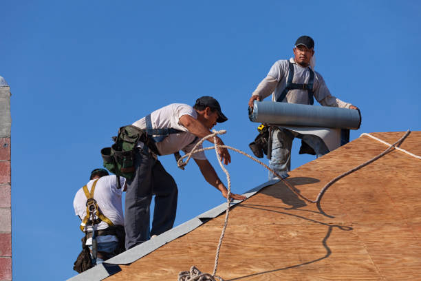 Roof Repair Estimates in Forestville, OH