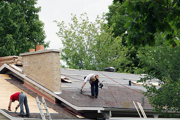 Quick and Trustworthy Emergency Roof Repair Services in Forestville, OH