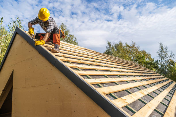 Best Roof Leak Repair  in Forestville, OH