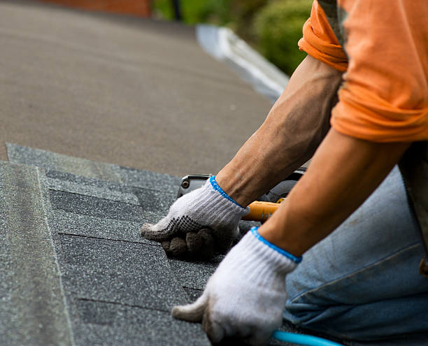 Best Residential Roofing Contractor  in Forestville, OH