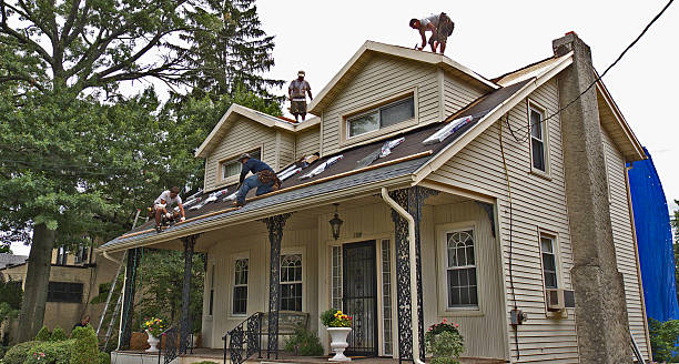 Best Roofing Contractor Near Me  in Forestville, OH