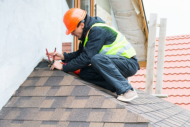 Best Sealant for Roof  in Forestville, OH
