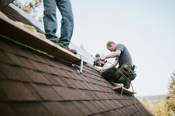 Best Roof Repair Services  in Forestville, OH
