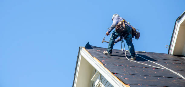 Best Gutter Installation and Roofing  in Forestville, OH