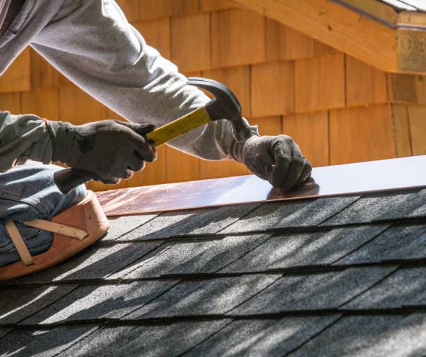 Best Storm Damage Roof Repair  in Forestville, OH